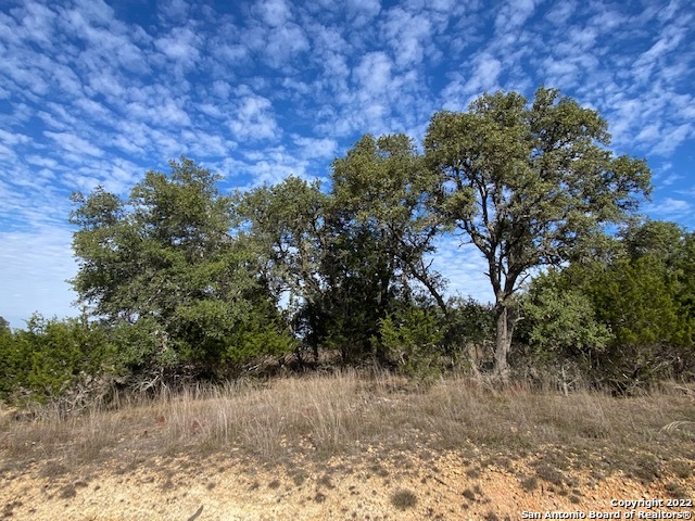 0 John Price Blanco, TX 78133 - Photo 6 of 11 a view of a lake view