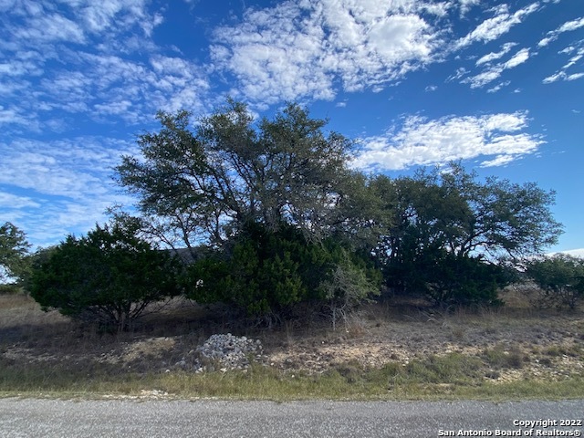0 John Price Blanco, TX 78133 - Photo 7 of 11 a view of a yard