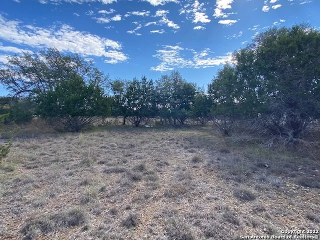 a view of an outdoor space with a tree