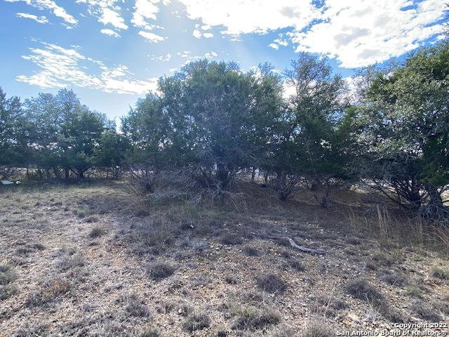 0 John Price Blanco, TX 78133 - Photo 9 of 11 a view of a yard with trees