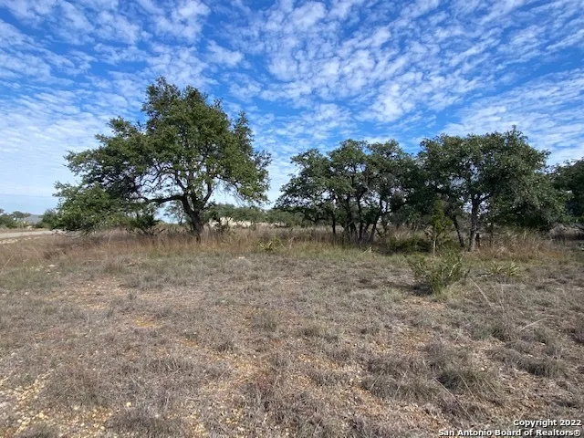 a view of a field with trees in background