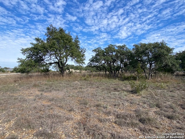 0 John Price Blanco, TX 78133 - Photo 10 of 11 a view of a field with trees in background