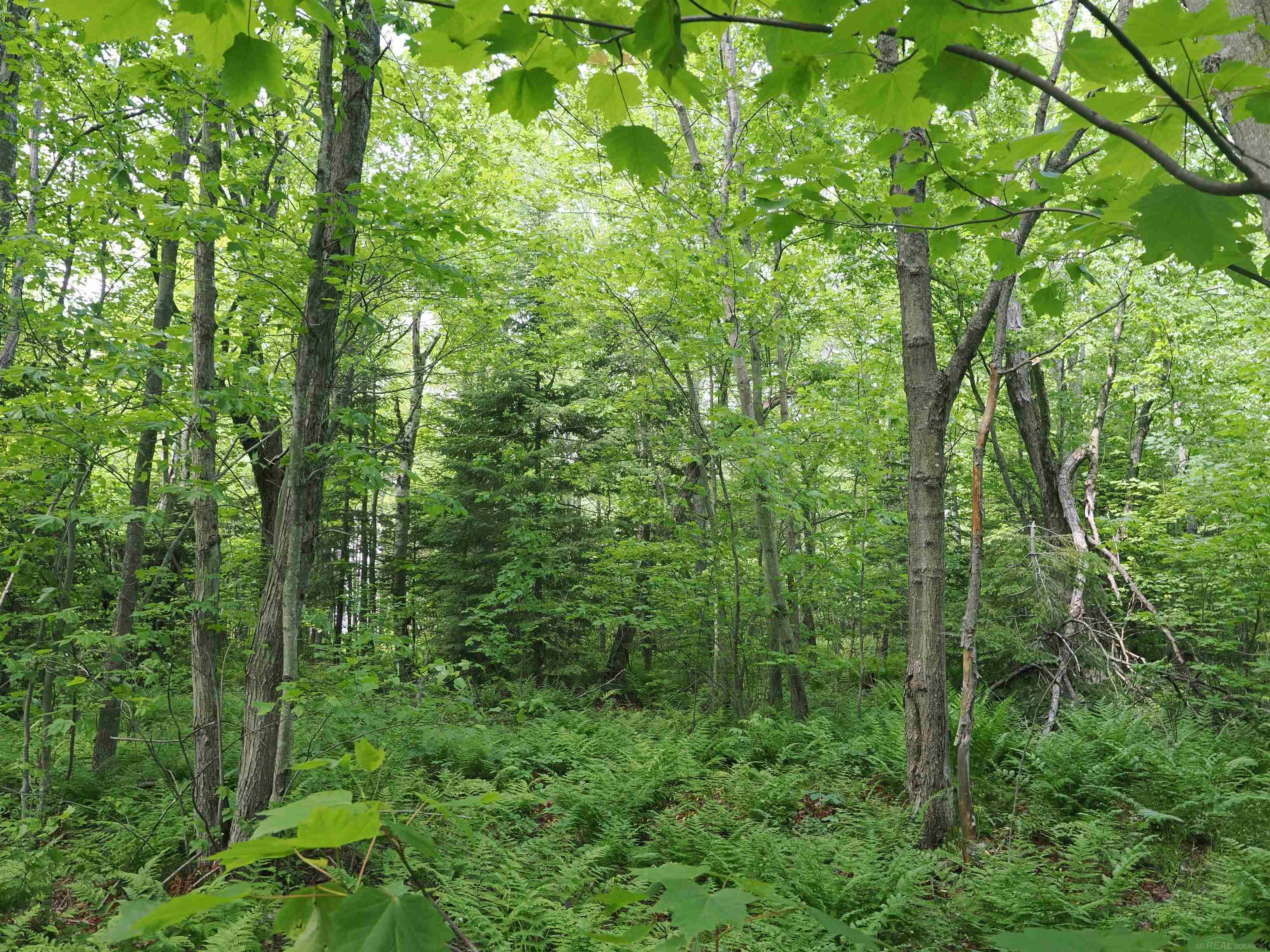5 West 5 Mile Road Sault Ste. Marie, MI 49783 - Photo 18 of 30