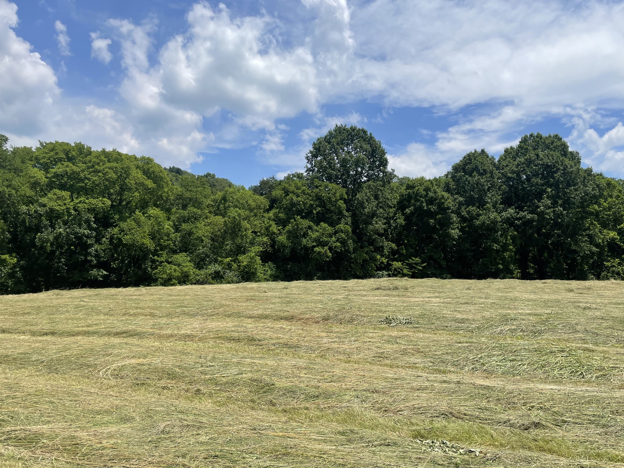 0 Agnew Road Pulaski, TN 38478 - Photo 11 of 45 a view of an ocean