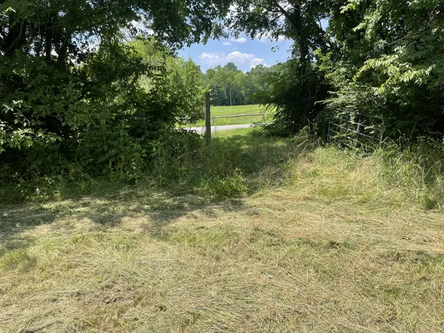 a view of an ocean beach