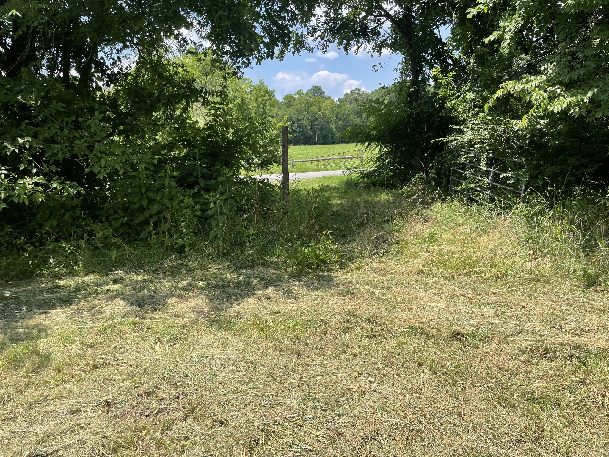 0 Agnew Road Pulaski, TN 38478 - Photo 12 of 45 a view of lake view