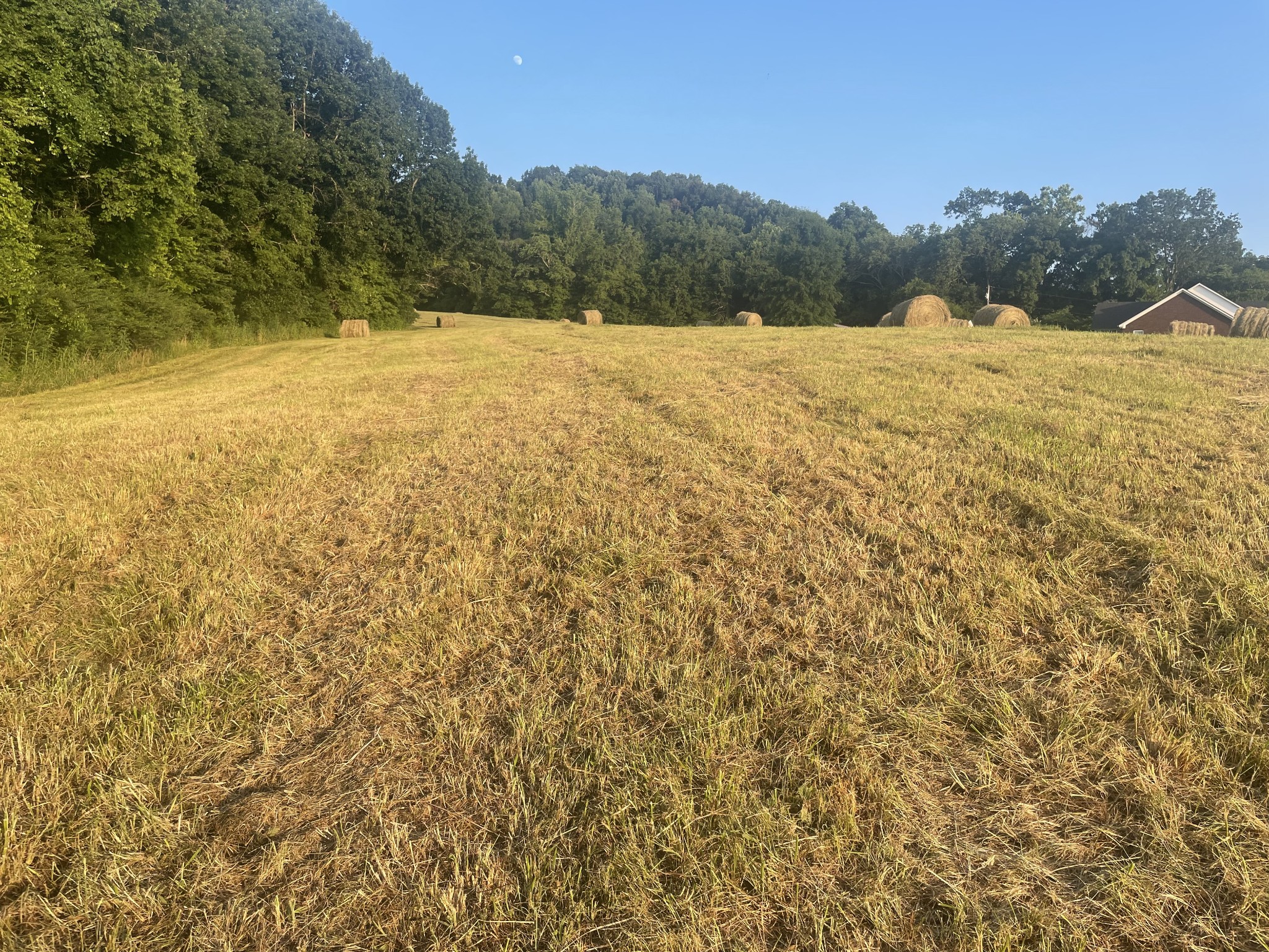 0 Agnew Road Pulaski, TN 38478 - Photo 14 of 45 a view of an ocean beach