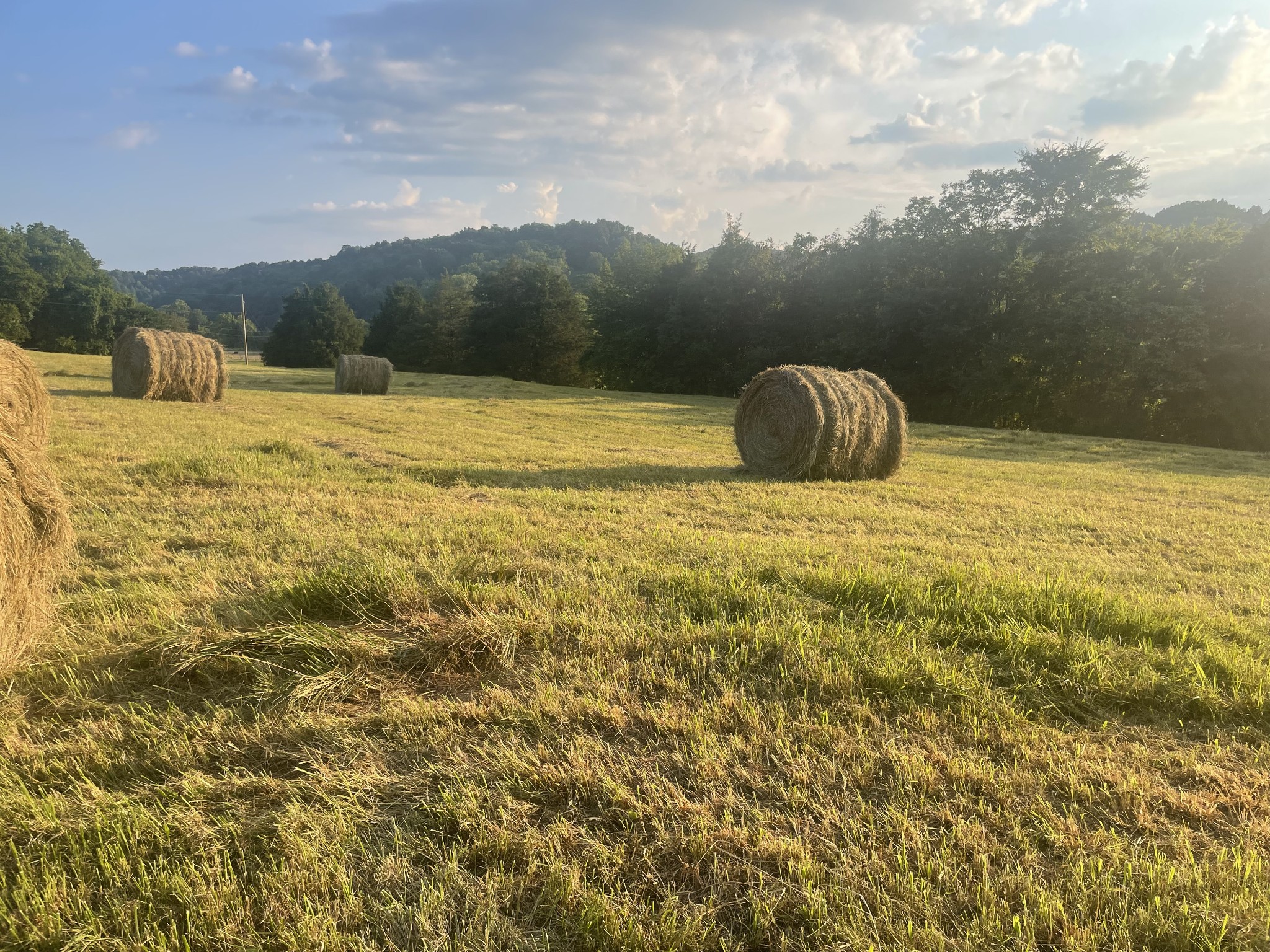 0 Agnew Road Pulaski, TN 38478 - Photo 15 of 45 a view of lake with mountain