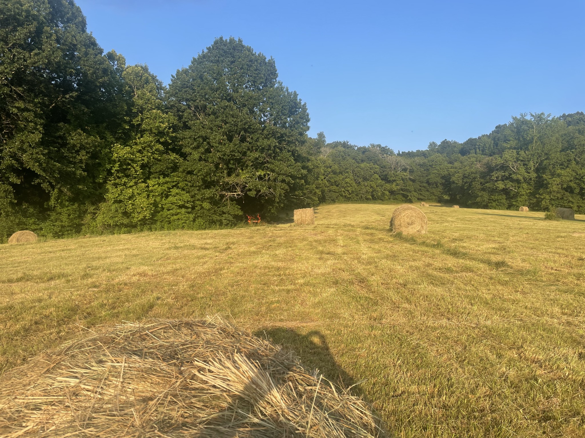 0 Agnew Road Pulaski, TN 38478 - Photo 17 of 45 a view of an ocean