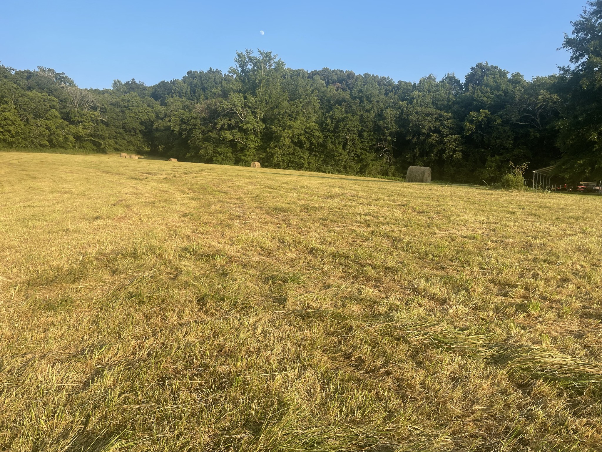 0 Agnew Road Pulaski, TN 38478 - Photo 18 of 45 a view of an outdoor space and a yard