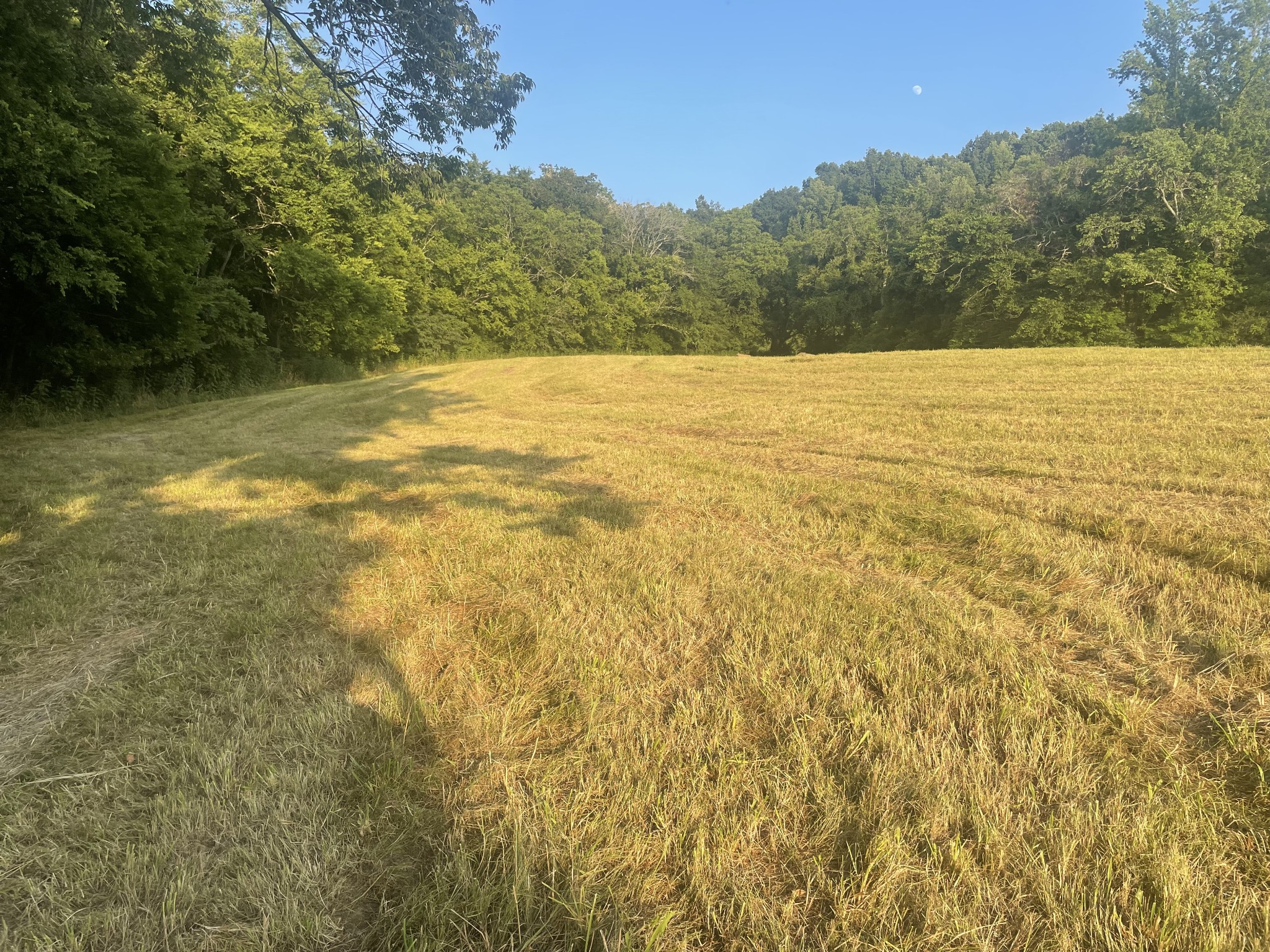 0 Agnew Road Pulaski, TN 38478 - Photo 19 of 45 a view of an ocean