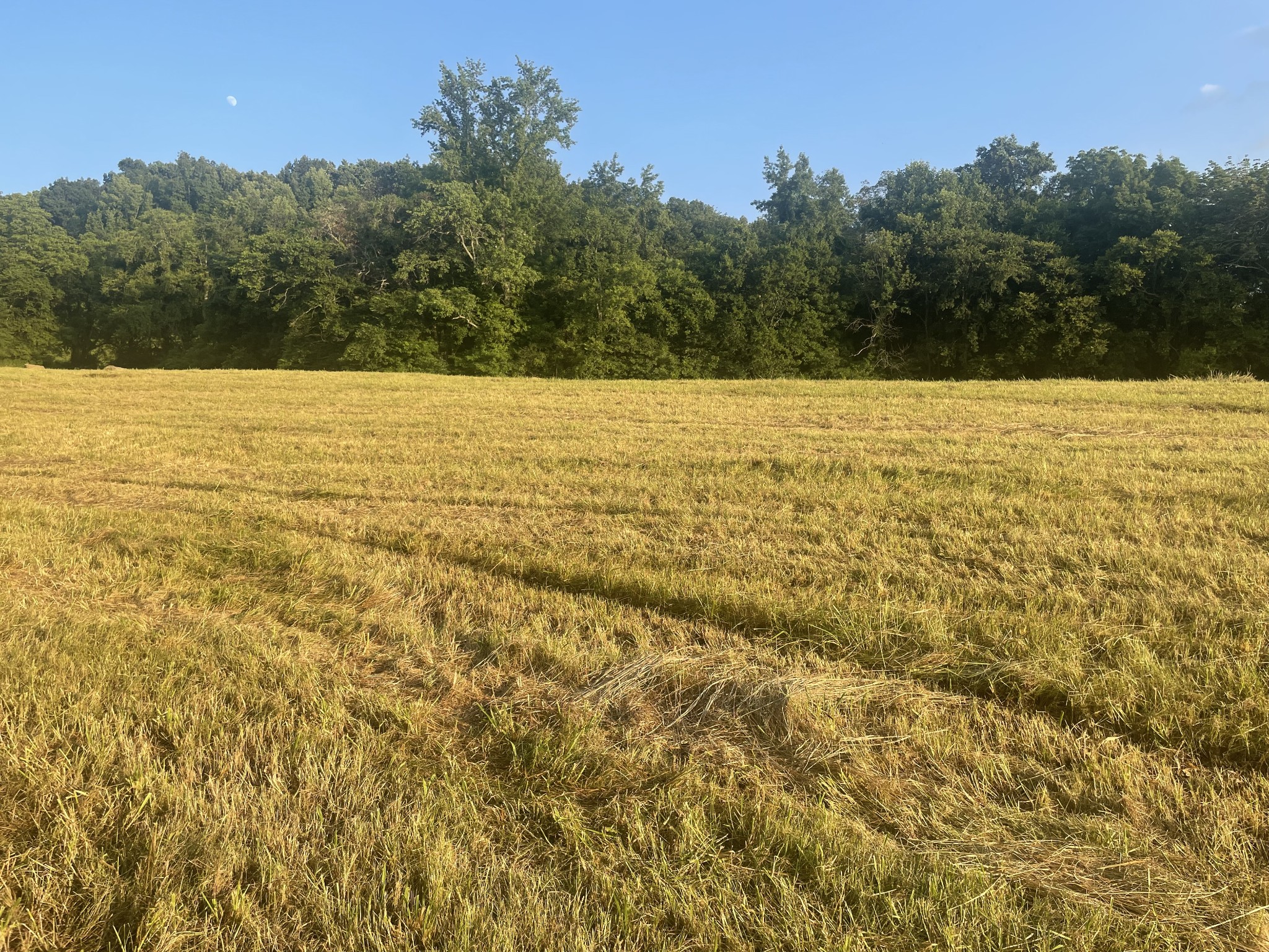 0 Agnew Road Pulaski, TN 38478 - Photo 20 of 45 a view of a lake view