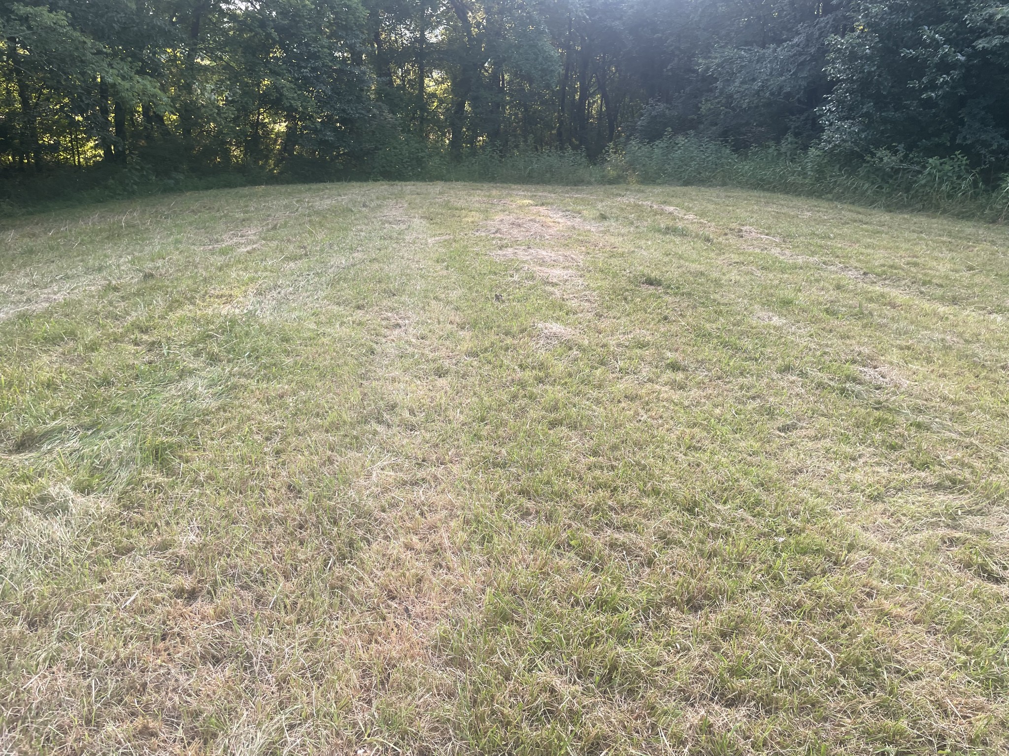 0 Agnew Road Pulaski, TN 38478 - Photo 22 of 45 a view of a bathroom with shower