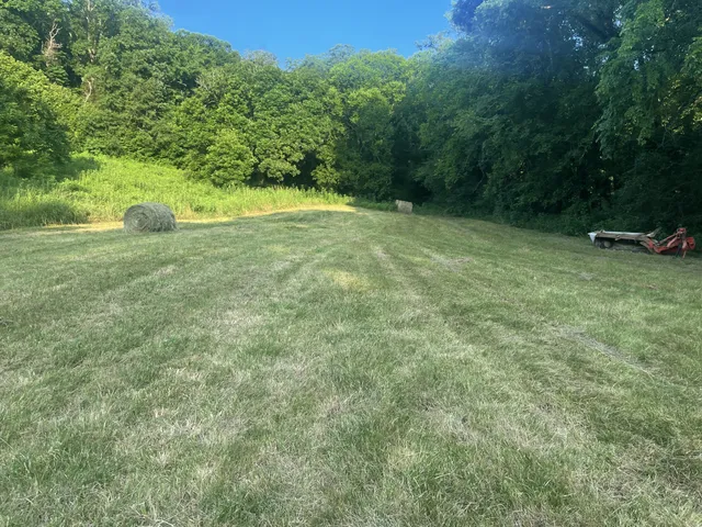 a view of a small yard