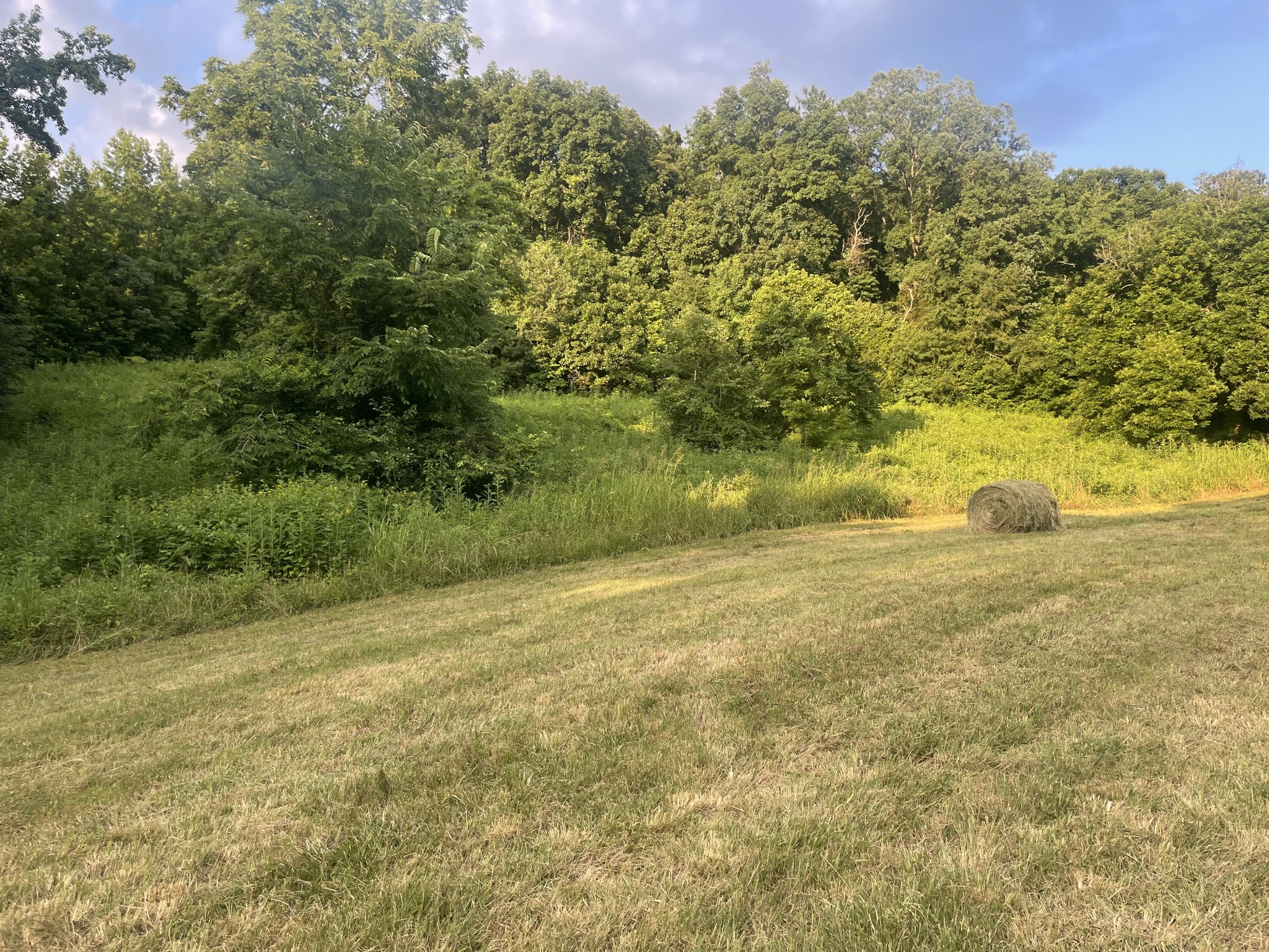 0 Agnew Road Pulaski, TN 38478 - Photo 24 of 45 a view of a field with an trees