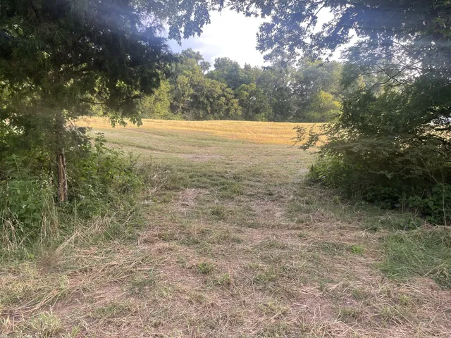 a view of outdoor space with trees
