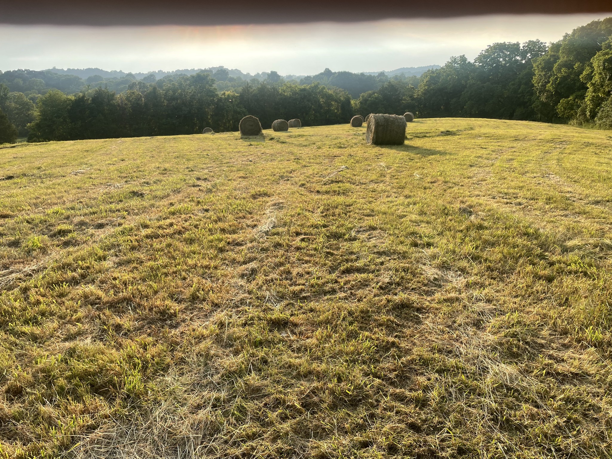 0 Agnew Road Pulaski, TN 38478 - Photo 29 of 45