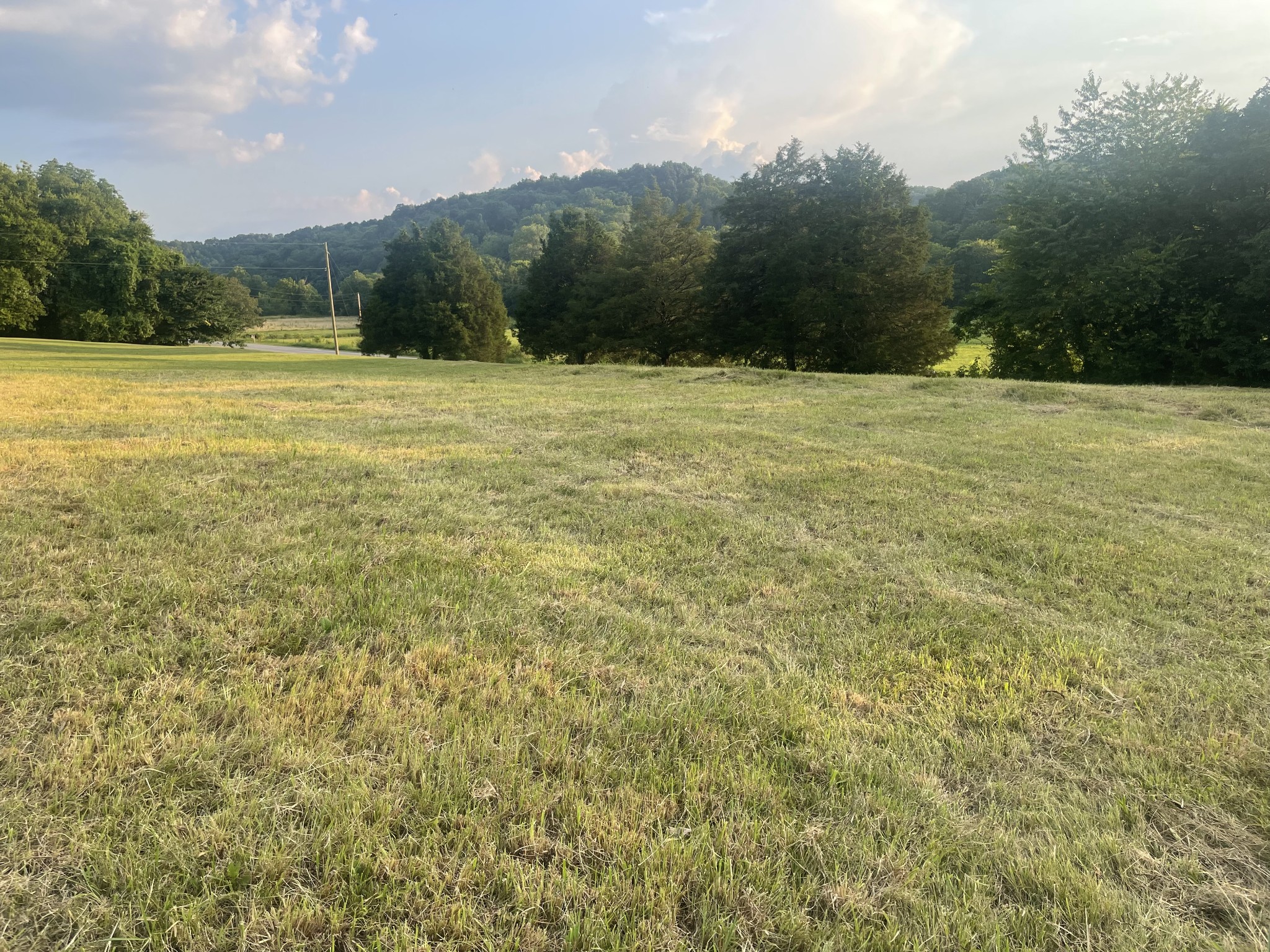 0 Agnew Road Pulaski, TN 38478 - Photo 30 of 45 a view of outdoor space with trees