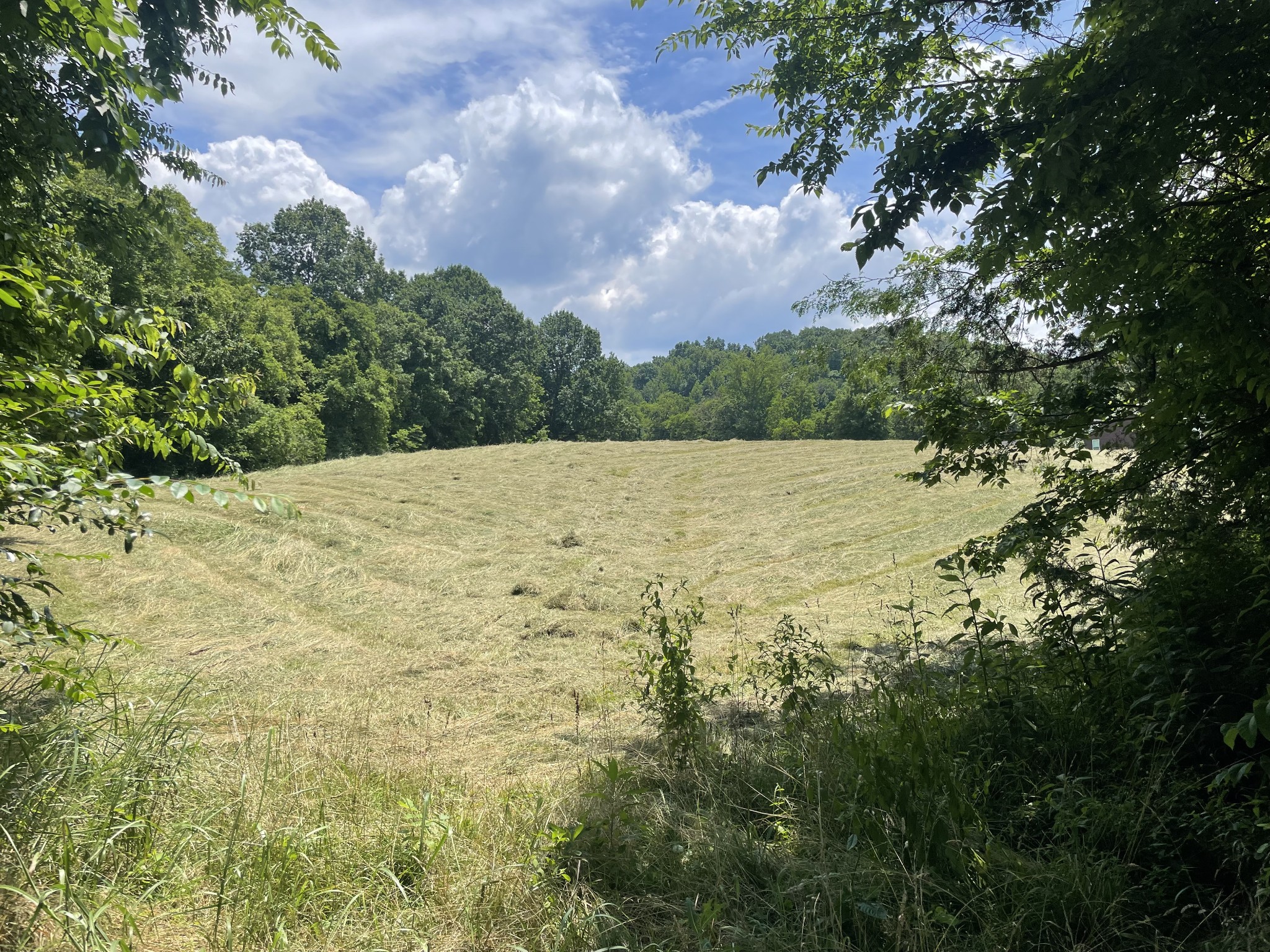 0 Agnew Road Pulaski, TN 38478 - Photo 3 of 45 a view of an ocean beach and mountain