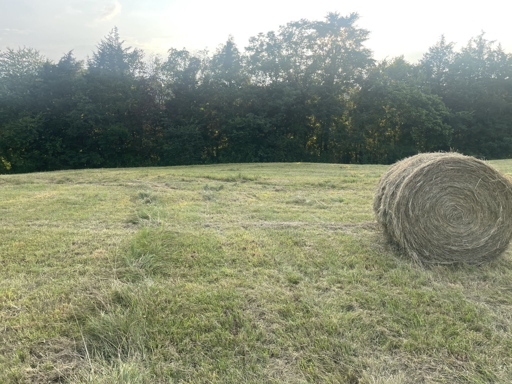 0 Agnew Road Pulaski, TN 38478 - Photo 31 of 45 a view of a outdoor space