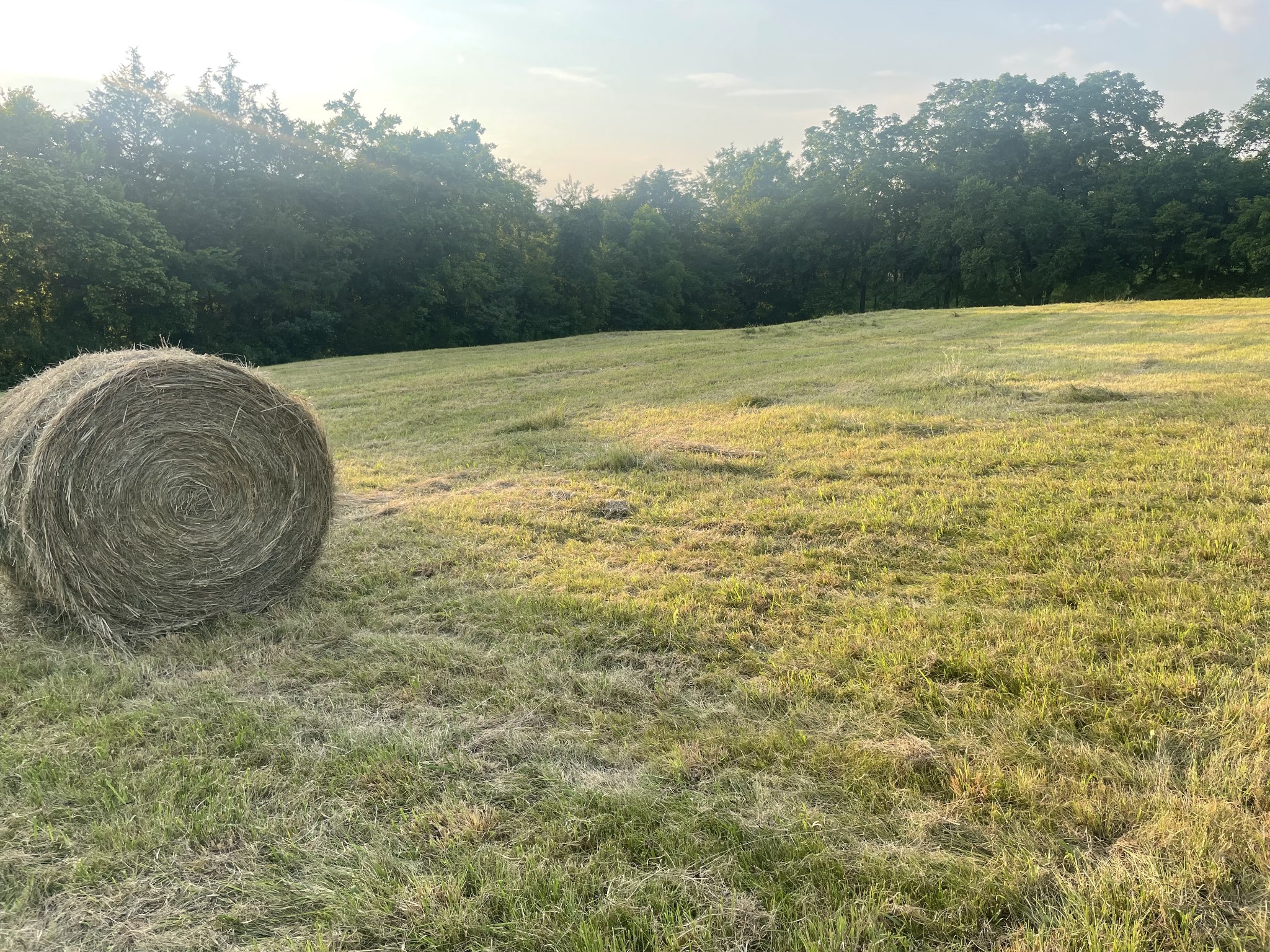 0 Agnew Road Pulaski, TN 38478 - Photo 32 of 45 a view of a lake view