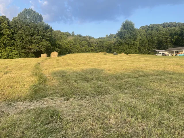 a view of a lush green outdoor space with a swimming pool and valleys in the background
