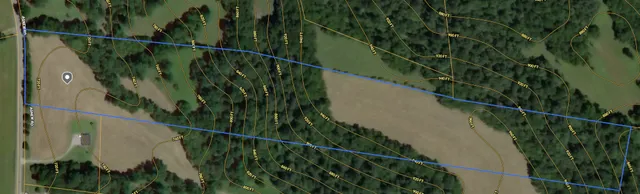 a view of a field with a tree in the background