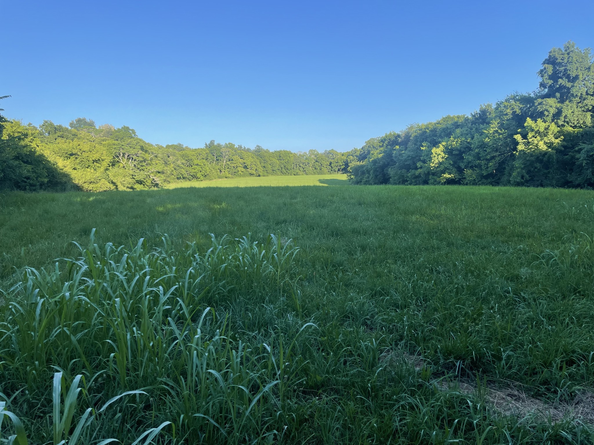 0 Agnew Road Pulaski, TN 38478 - Photo 38 of 45 a view of a lush green outdoor space with a swimming pool and valleys in the background