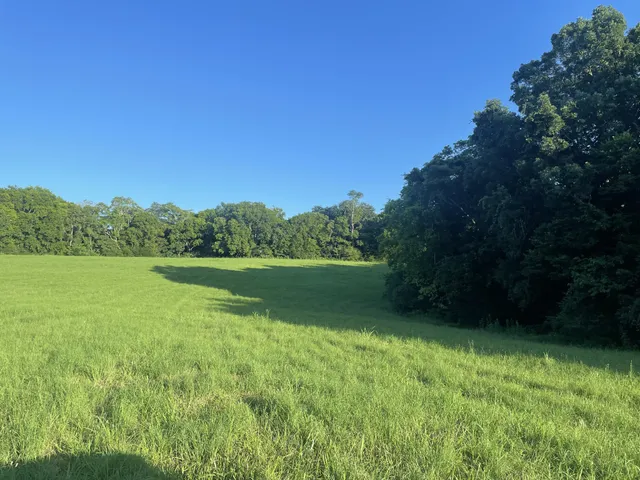a view of green field with trees in the background