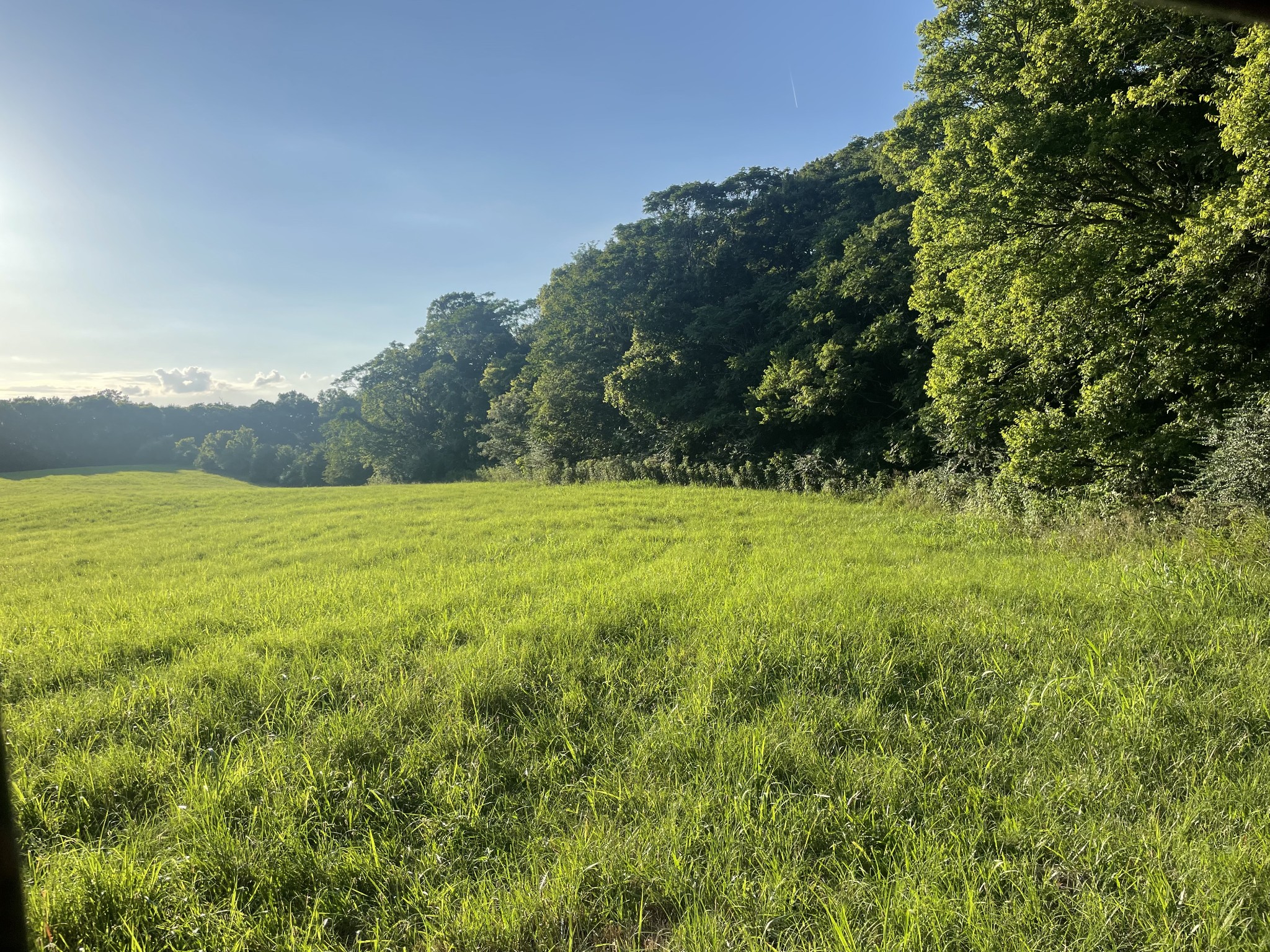 0 Agnew Road Pulaski, TN 38478 - Photo 40 of 45 a view of a field with an trees in the background
