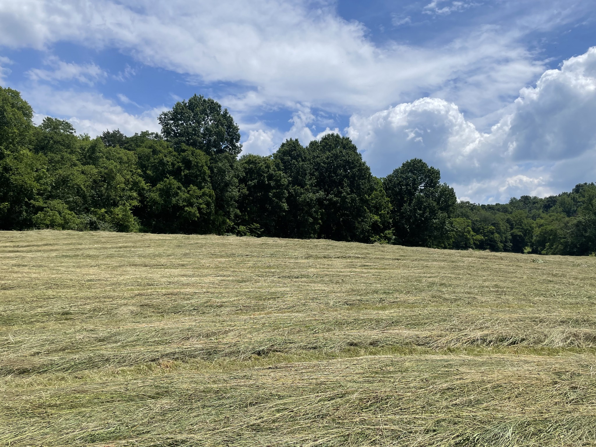 0 Agnew Road Pulaski, TN 38478 - Photo 4 of 45