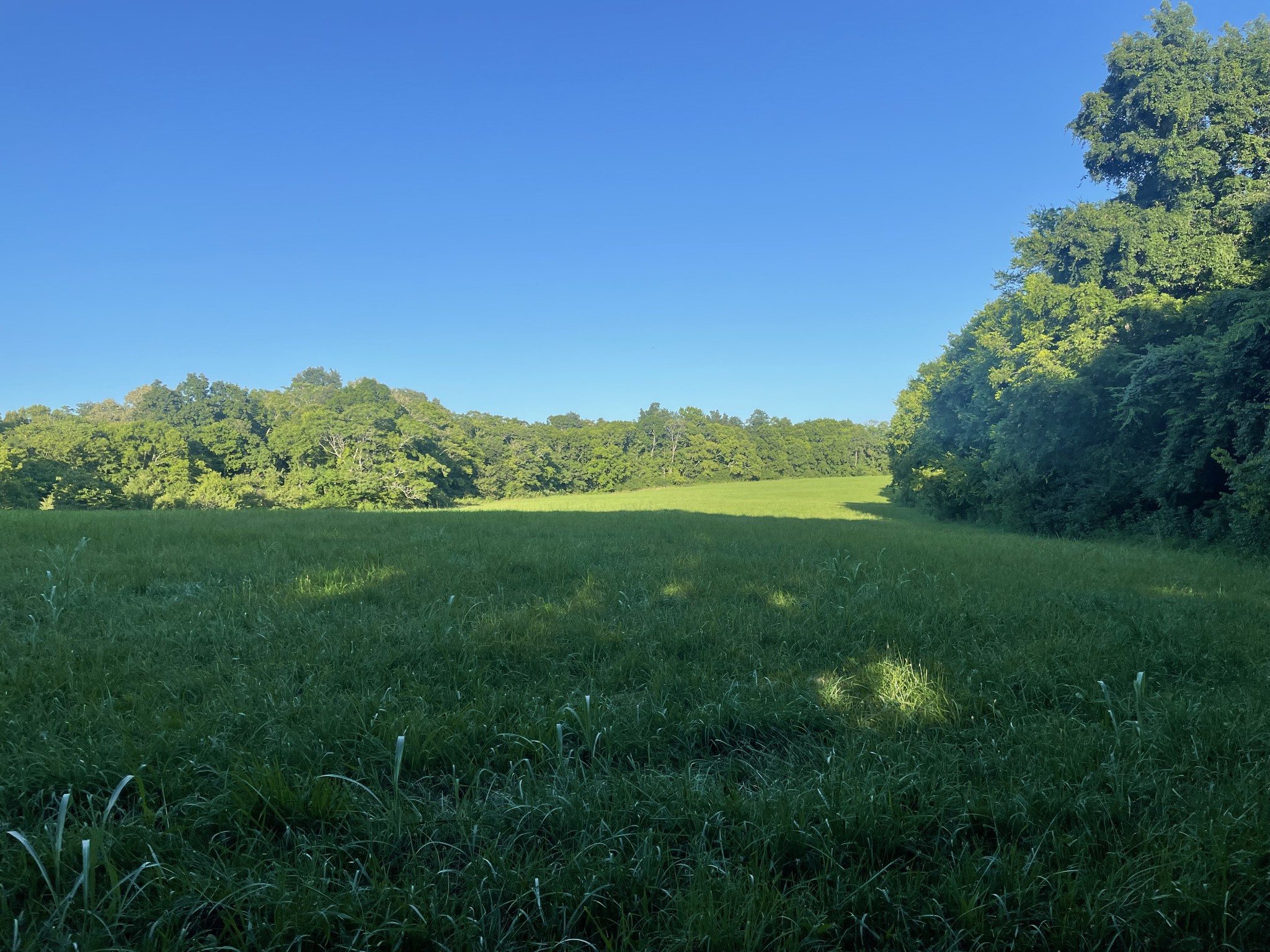 0 Agnew Road Pulaski, TN 38478 - Photo 43 of 45 a view of an ocean and yard