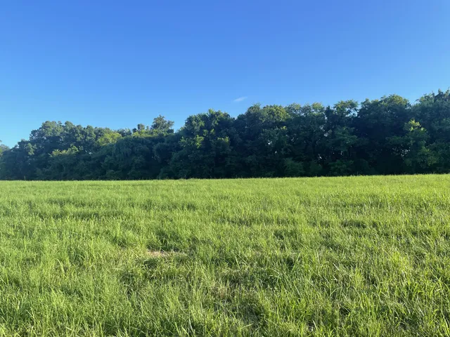 $225,000 | 0 Agnew Road, Pulaski, TN 38478