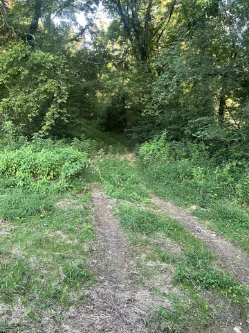 $225,000 | 0 Agnew Road, Pulaski, TN 38478