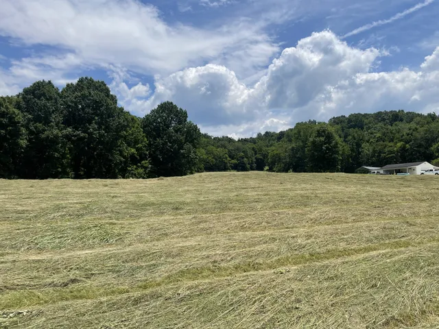 a view of a lake view