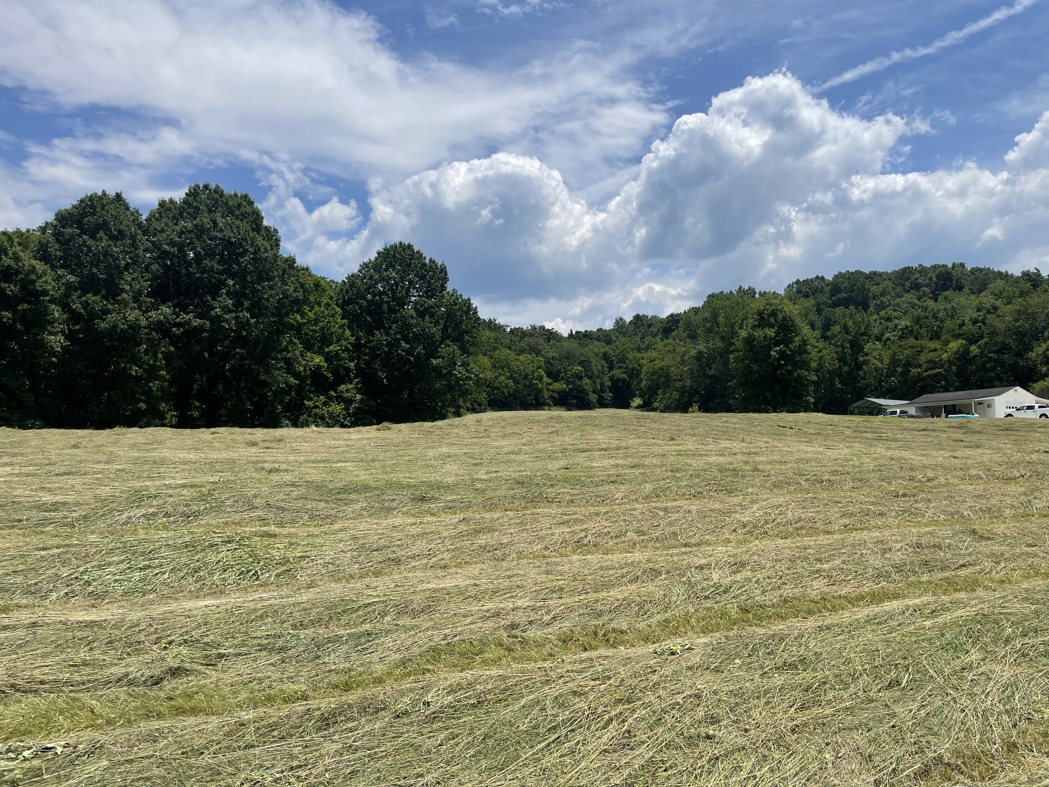 0 Agnew Road Pulaski, TN 38478 - Photo 5 of 45 a view of a lake view