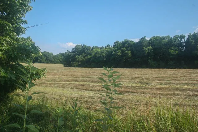 a view of ocean view with beach
