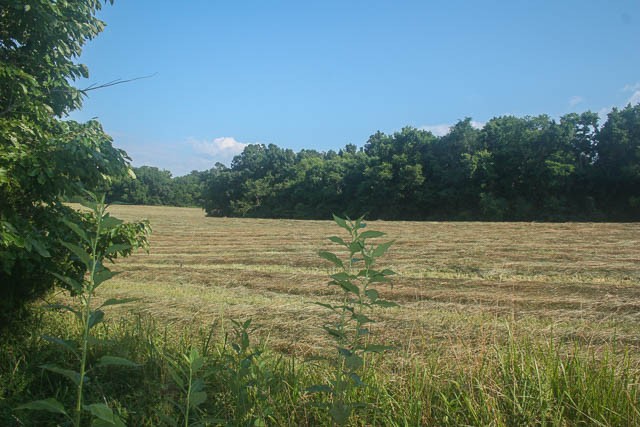 0 Agnew Road Pulaski, TN 38478 - Photo 6 of 45 a view of a lake view