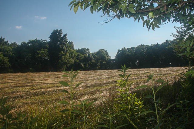 0 Agnew Road Pulaski, TN 38478 - Photo 8 of 45 a view of outdoor space with swimming pool and trees in the background