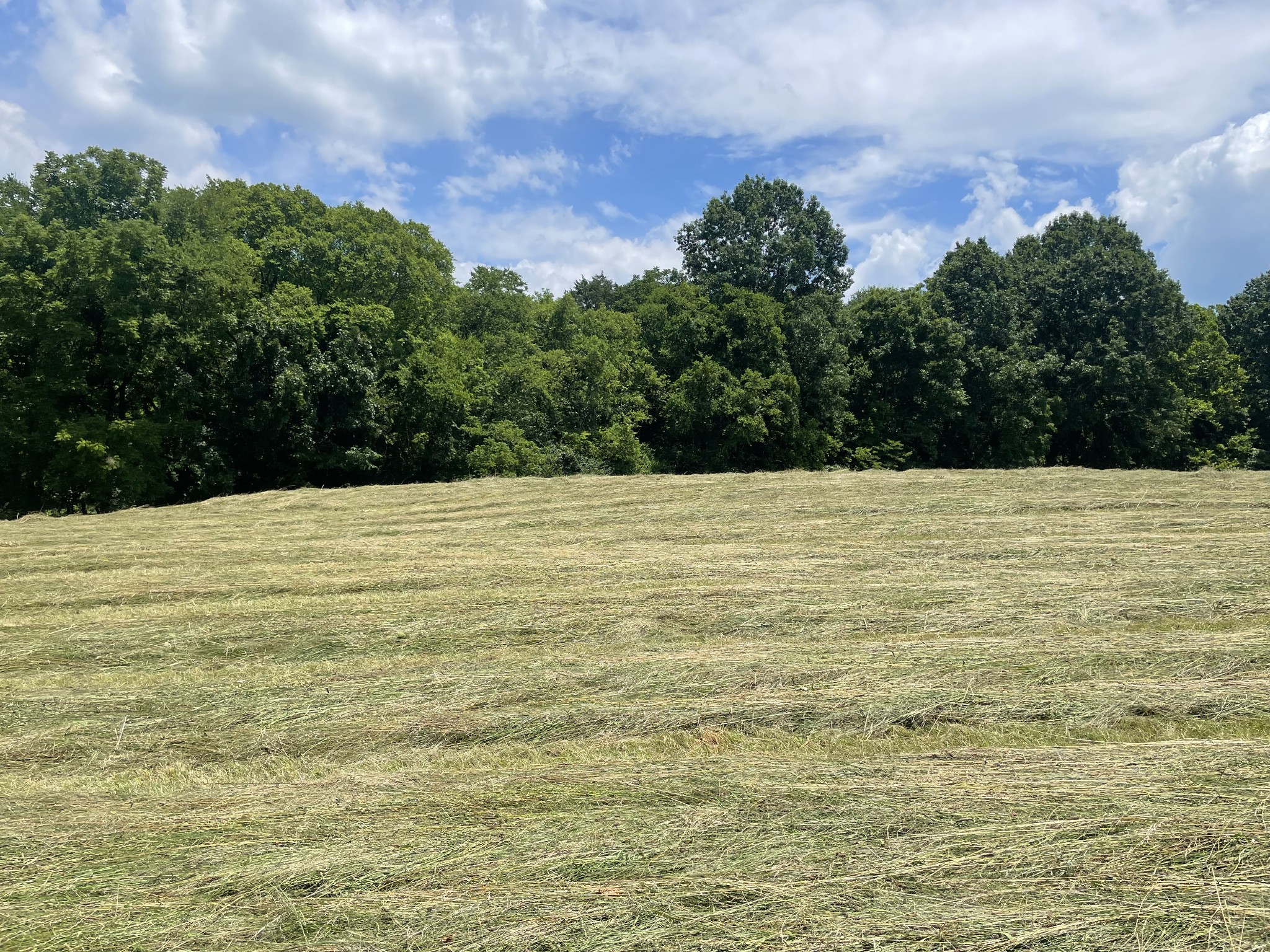 0 Agnew Road Pulaski, TN 38478 - Photo 10 of 45