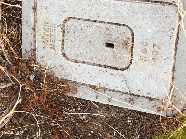 $124,900 | W4 Drt 175, Llano, CA 93544