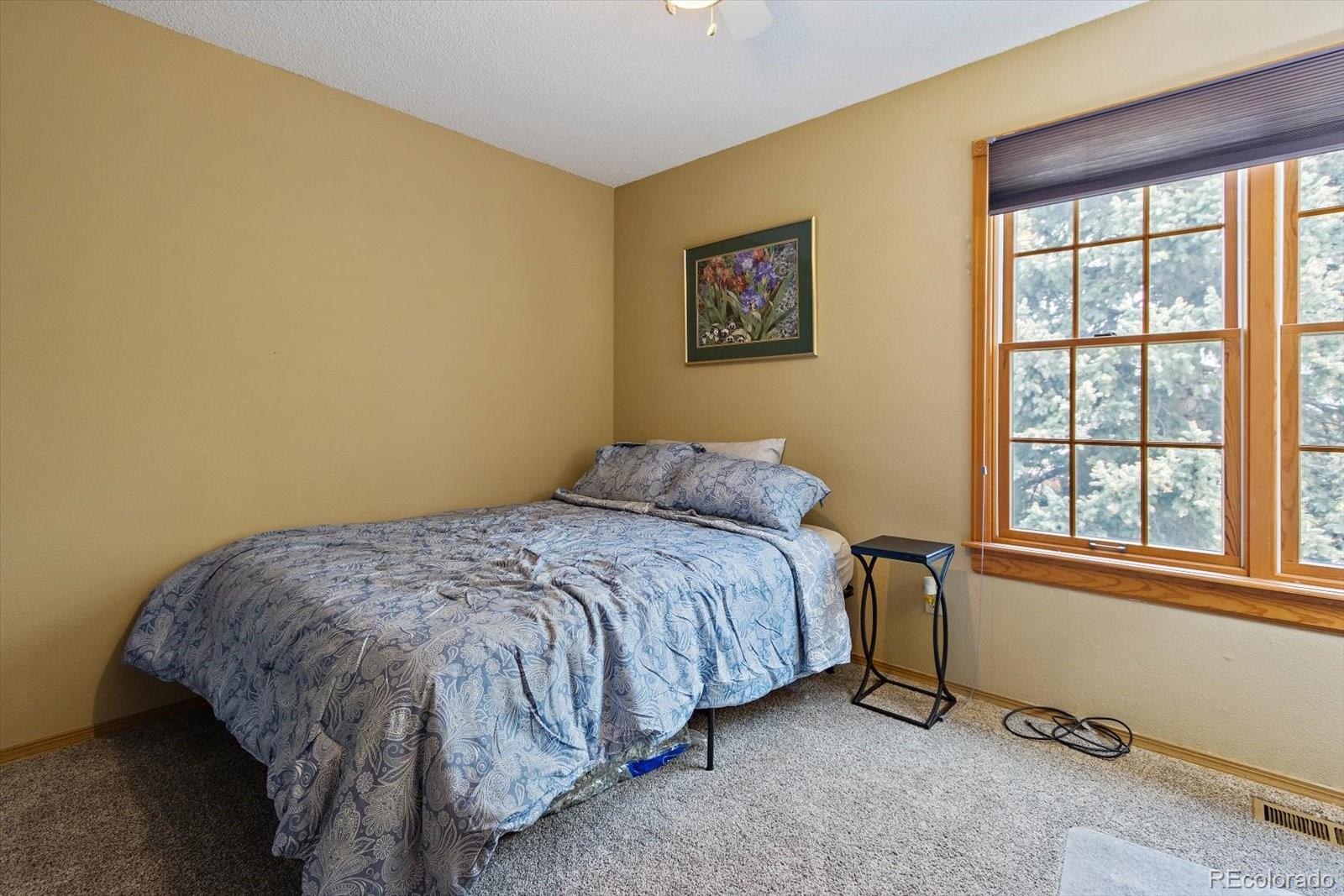981 Thames Street Highlands Ranch, CO 80126 - Photo 16 of 21 Gallery Image 16