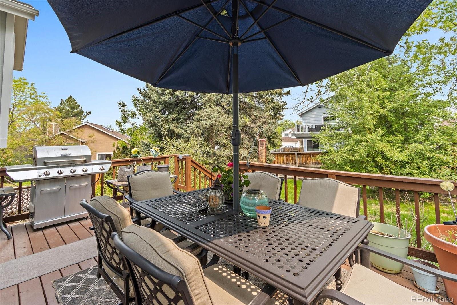 981 Thames Street Highlands Ranch, CO 80126 - Photo 19 of 21 Gallery Image 19