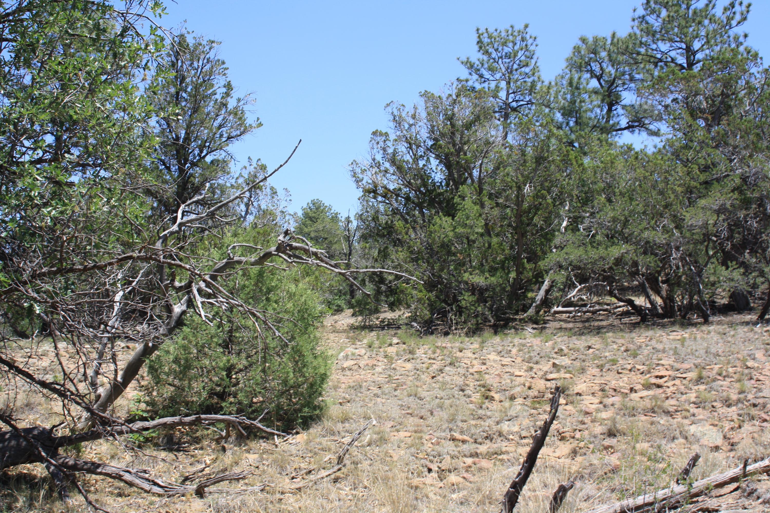4-6 Bodean Road Ramah, NM 87357 - Photo 34 of 58 Gallery Image 34