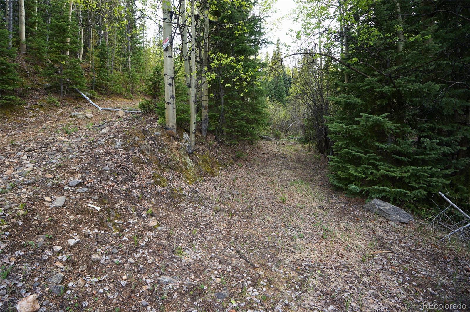0 Trail Creek Road Idaho Springs, CO 80452 - Photo 16 of 16