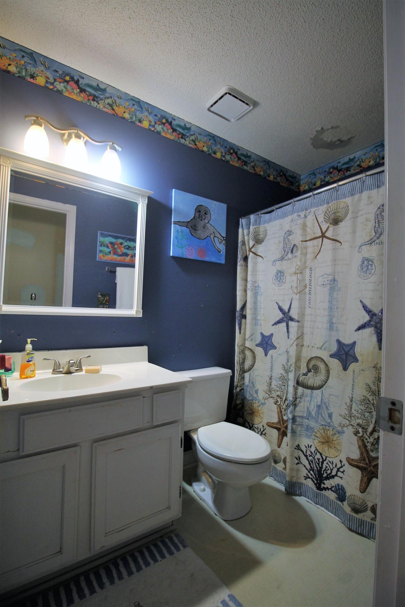 202 Lancaster Road Summerville, SC 29485 - Photo 15 of 16 Hall Bathroom