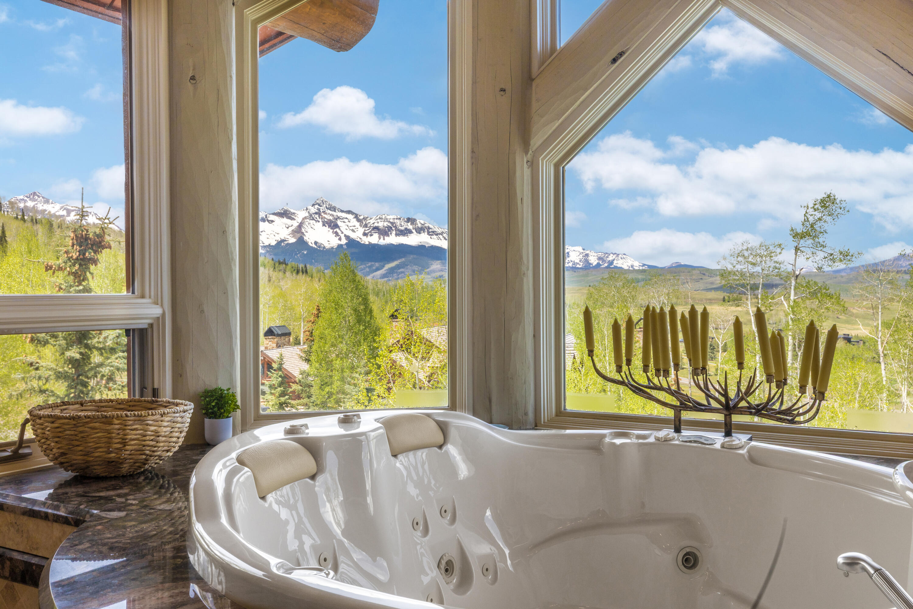 119 Touchdown Drive Mountain Village, CO 81435 - Photo 25 of 31