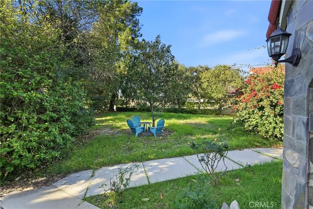 a view of a backyard with plants and trees