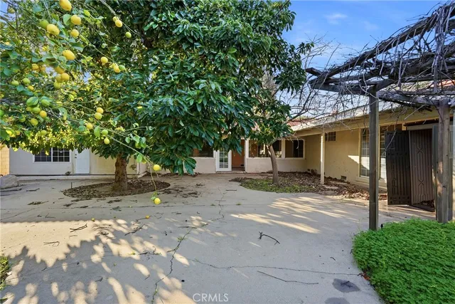 a garden with trees in front of it