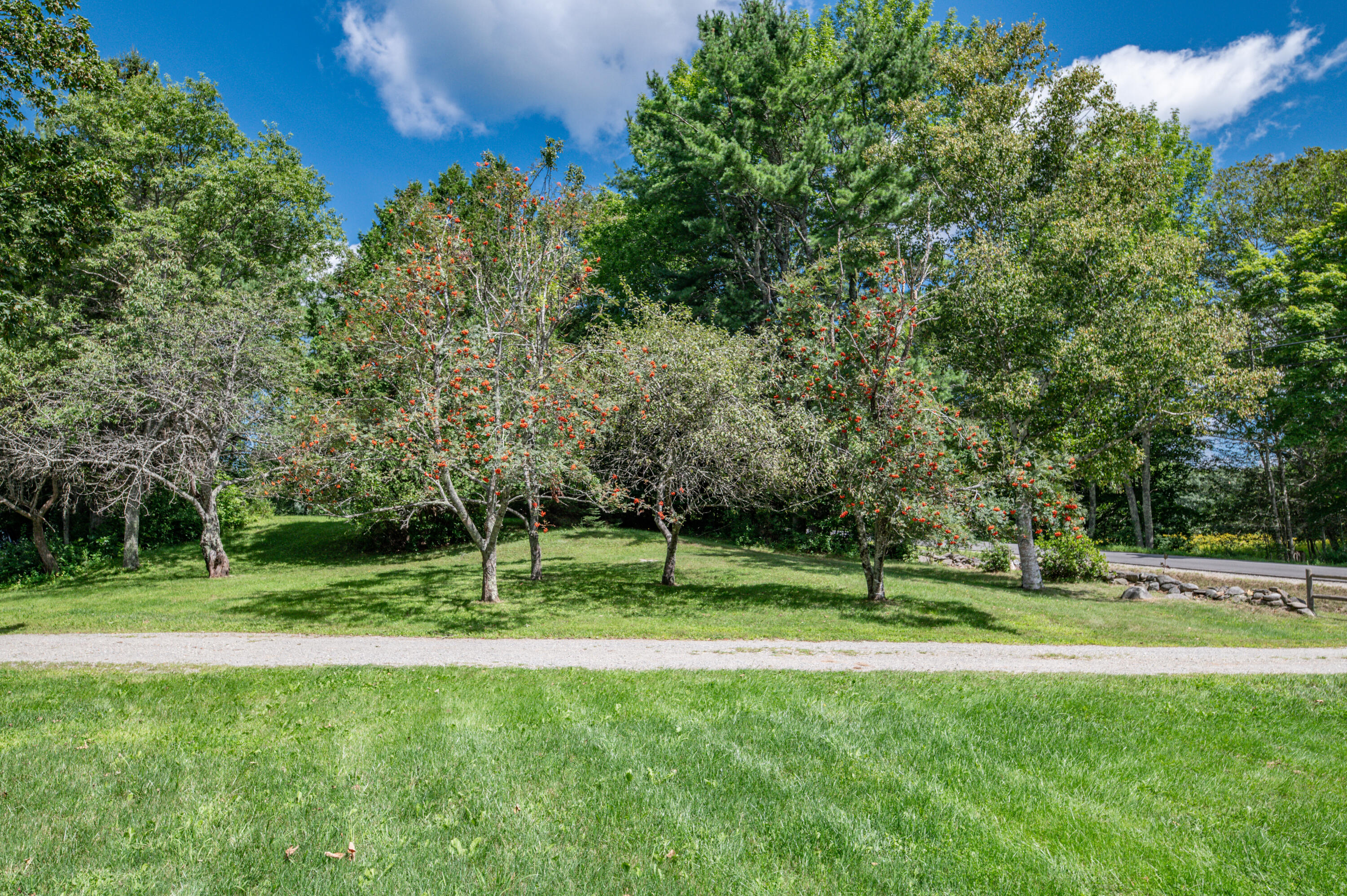 716 Silver Lake Road Bucksport, ME 04416 - Photo 16 of 77 Exterior16